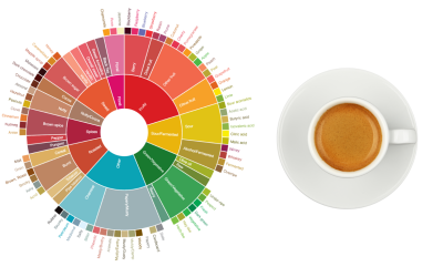 Mengenal Flavour Wheel dalam Dunia Kopi