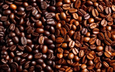 Perbedaan Kopi Arabika dan Robusta: Pilihan Tepat untuk Pecinta Kopi