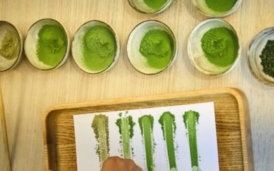 Apa Bedanya Green Tea dan Matcha? 7 Fakta Mengejutkan yang Wajib Barista Ketahui!
